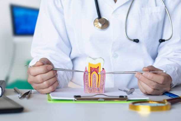 Best Orthodontic Emergency Dentist in Knoxville, IA